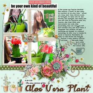 The Slow Demise of the Aloe Vera