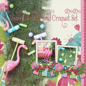 Project-Croquet Set2