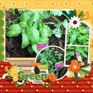 Herb Garden
