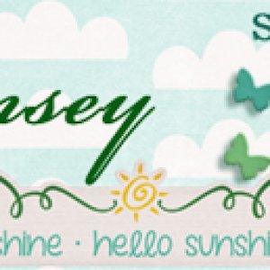 0416 Mskinsey siggy