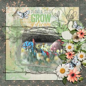Grow a Dream