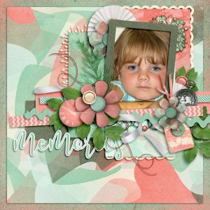 Fleeting Moments2