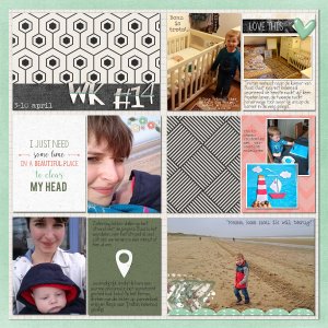 Wk 14A