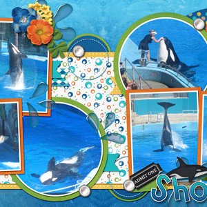 Orca Show