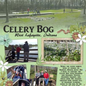 Celery Bog