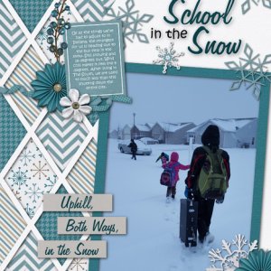 Snow School