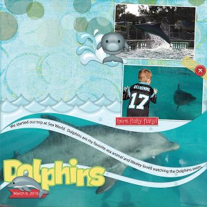 Dolphins at SW