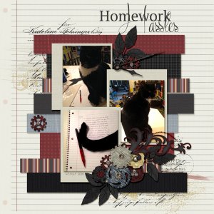 Homework Hassles