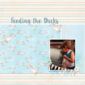 Feeding the Ducks