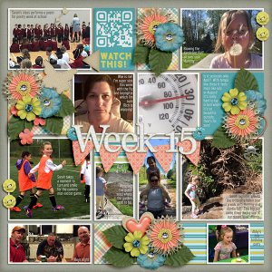 Week 15