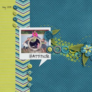 Attitude