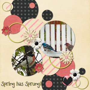 Spring has Sprung 2016