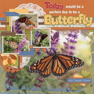 Butterfly