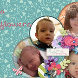 Tatas Wildflowers