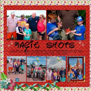 2015 Magic Shots