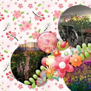 Spring has Spring
