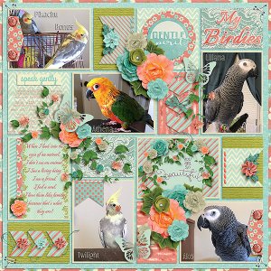 My Birdies