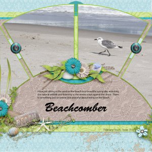 BeachComber