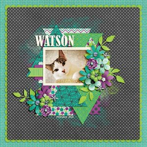 watson