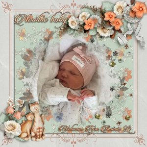 Newbie_baby