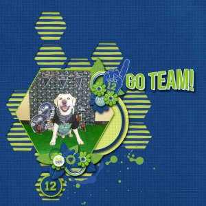 p52_2016_week_14