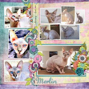 Merlin
