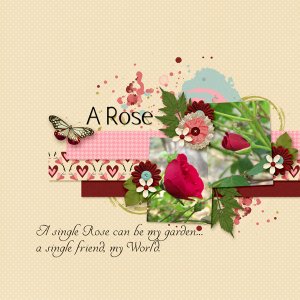 A Rose - Dare 501