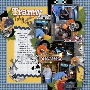 Tranny Take Down
