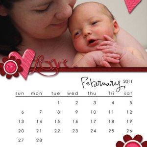 CD Calendar - February