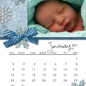 CD Calendar - January
