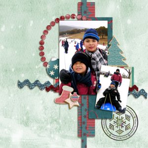 winter wonderland