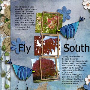 Fly South
