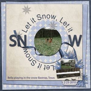 Let_it_Snow_Bastrop_Texas_2-23-2010_-_WD_RTL3_template3