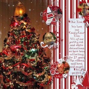 Our Tree