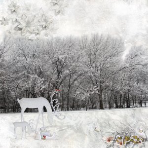 Winter Wonderland