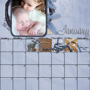 January2011_sm