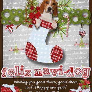 Christmas Card 2010