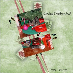 Cats like Christmas too
