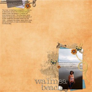 Wiamea Beach