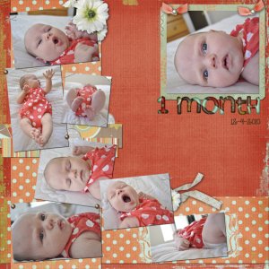 1 Month