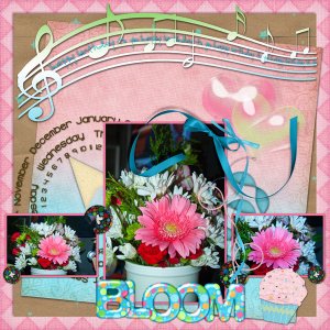 Bloom