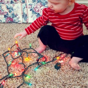 Bella Lights
