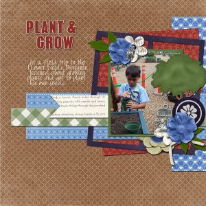 Plant and Grow