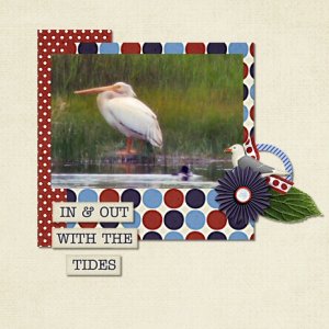 Bird Watching