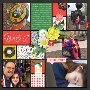 Week 17 Project 52