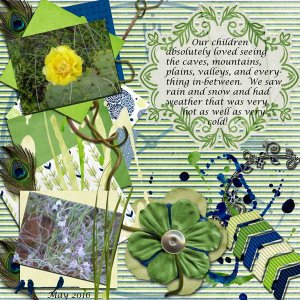 May 2015 Flowers (2)