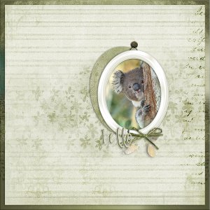 Koala