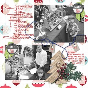 Festival of Trees Memories