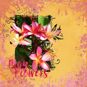 May flowers