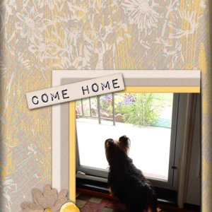 Come Home